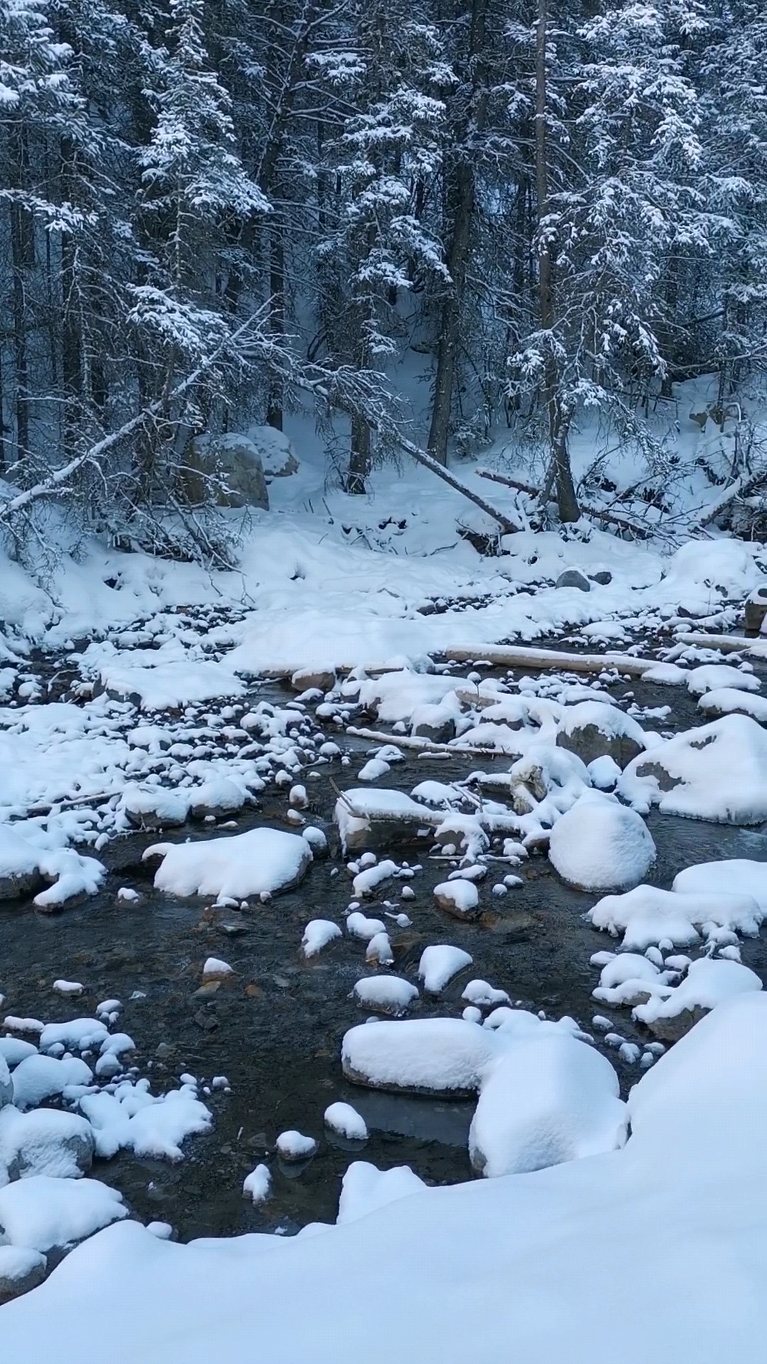 Heart Creek 冬天徒步